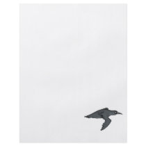Cribbly Crow Custom Flyer