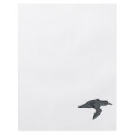 Cribbly Crow flyers