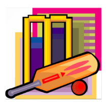 Cricket Art Poster posters