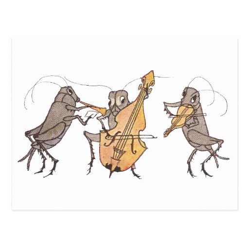 Cricket Band with Horn, Cello & Violin Postcards