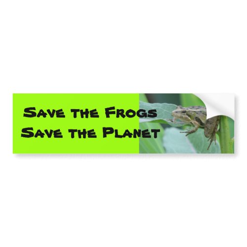 Cricket Frog bumpersticker