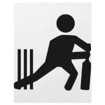 cricket icon flyers