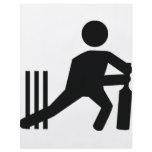 cricket icon flyers