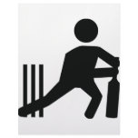 cricket icon letterhead design