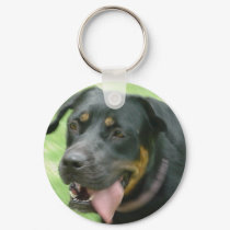 Cricket In Action Key Chain keychains by Humane_Society Cricket In Action Key Chain keychains