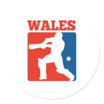 cricket player batsman Wales retro Round Stickers