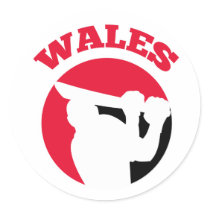 cricket player batsman Wales retro Round Stickers