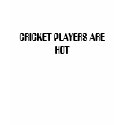 CRICKET PLAYERS ARE HOT t-shirts