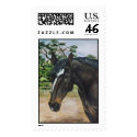 "Cricket" postage by paintonmypaws "Cricket" postage