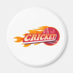 cricket sports ball flames fire magnet