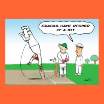 Cricket Wicket - Funny Cricket posters