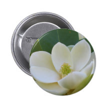 CricketDiane Southern Magnolias Button