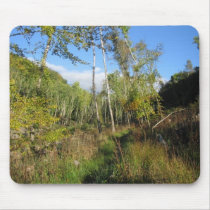 Crieff woodland mousepads