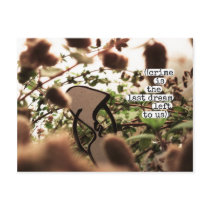((crime is the last dream left to us)) post card