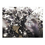 crime is the only way post card