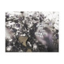 crime is the only way post card