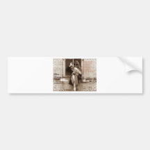 criminal in disguise promo bumper stickers