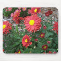 Crimpson&Yellow Beauty, #2, Mousepad