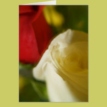 Crimson and Cream "Rose" Note Card cards
