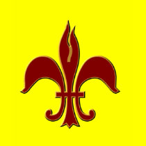 Crimson and Gold Fleur-de-lis - Ladies Baby Doll t-shirts