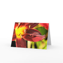 Crimson Daylily Thank You cards