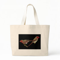 Crimson Finch (white-bellied) Pair Bags
