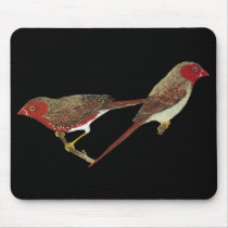 Crimson Finch (white-bellied) Pair mousepads by LisasLair Crimson Finch (white-bellied) Pair mousepads