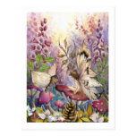 Crimson Foxglove Post Card