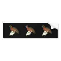 Crimson Horned Pheasant Bumper Stickers