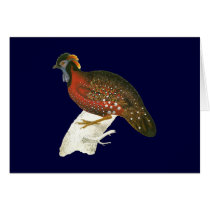 Crimson Horned Pheasant Greeting Card