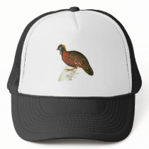 Crimson Horned Pheasant Mesh Hats