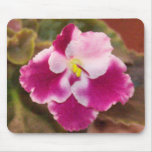 Crimson Ice African Violet Mouse Mats