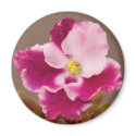 Crimson Ice Stickers magnets