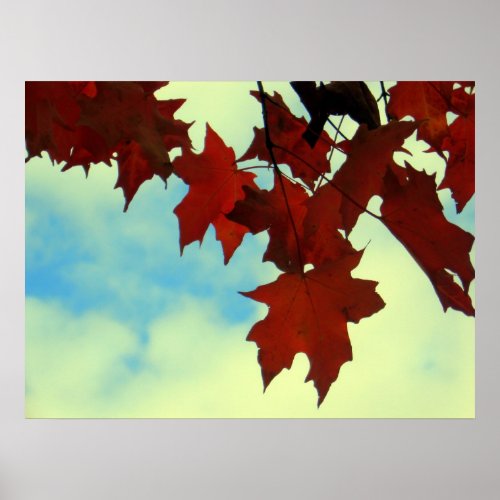 Crimson Maple print