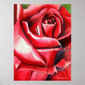 Crimson Red Glory Rose poster by Sacha Grossel Art