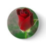 Crimson Red Rose Angelic
