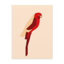 Crimson Rosala - Australian Parrot - Native colors postcards by lonvig Crimson Rosala - Australian Parrot - Native colors postcards