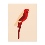 Crimson Rosala - Australian Parrot - Native colors Post Cards
