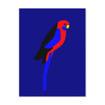 Crimson Rosala - Australian Parrot Post Card