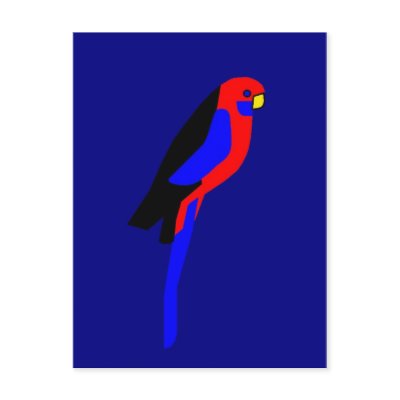Crimson Rosala - Australian Parrot Postcard by lonvig