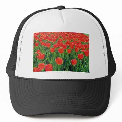 Zazzle