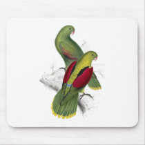 Crimson-Winged Parrakeet (Female and young male) b Mousepad