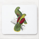 Crimson-Winged Parrakeet (Female and young male) b Mousepad