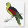 Crimson-Winged Parrakeet (Male adult) by Edward Le Mouse Pads