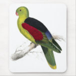 Crimson-Winged Parrakeet (Male adult) by Edward Le Mouse Pads