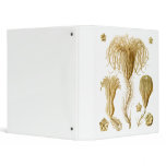 Crinoids Binder