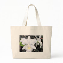Crisp White Orchids in a Shady Garden bags