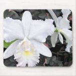Crisp White Orchids in a Shady Garden Mousepad