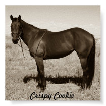 Crispy Cookie posters by jhlobue Crispy Cookie posters