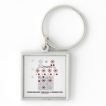 Crisscrossed Through A Generation (Punnett Square) Key Chains
